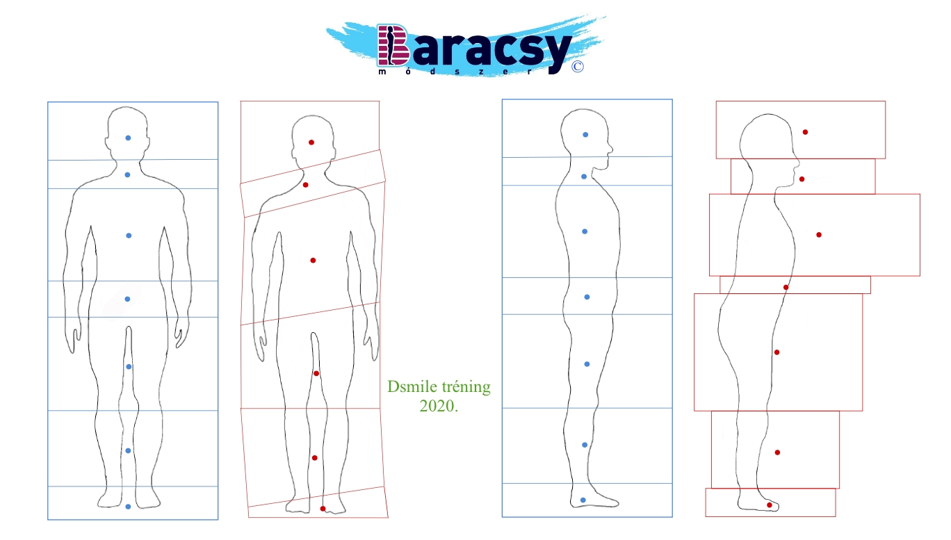 Baracsy Gabi 2020. Szegmensek ideális és megváltozott állapotban